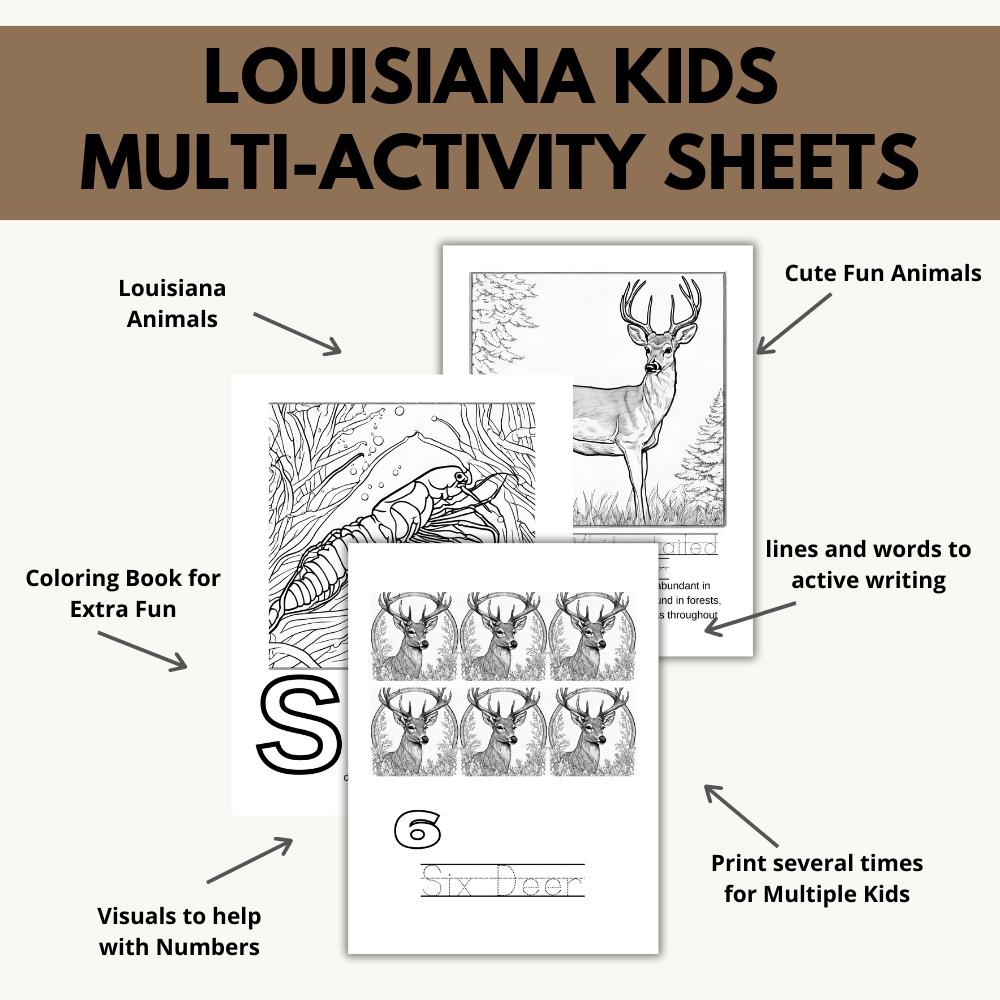 Louisiana ABCs Coloring Book
