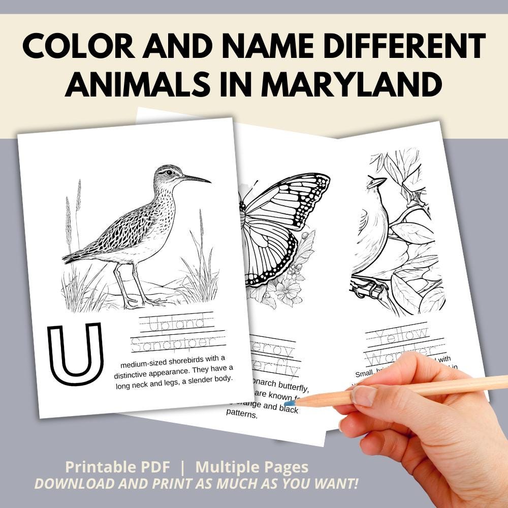 Maryland ABCs Coloring Book