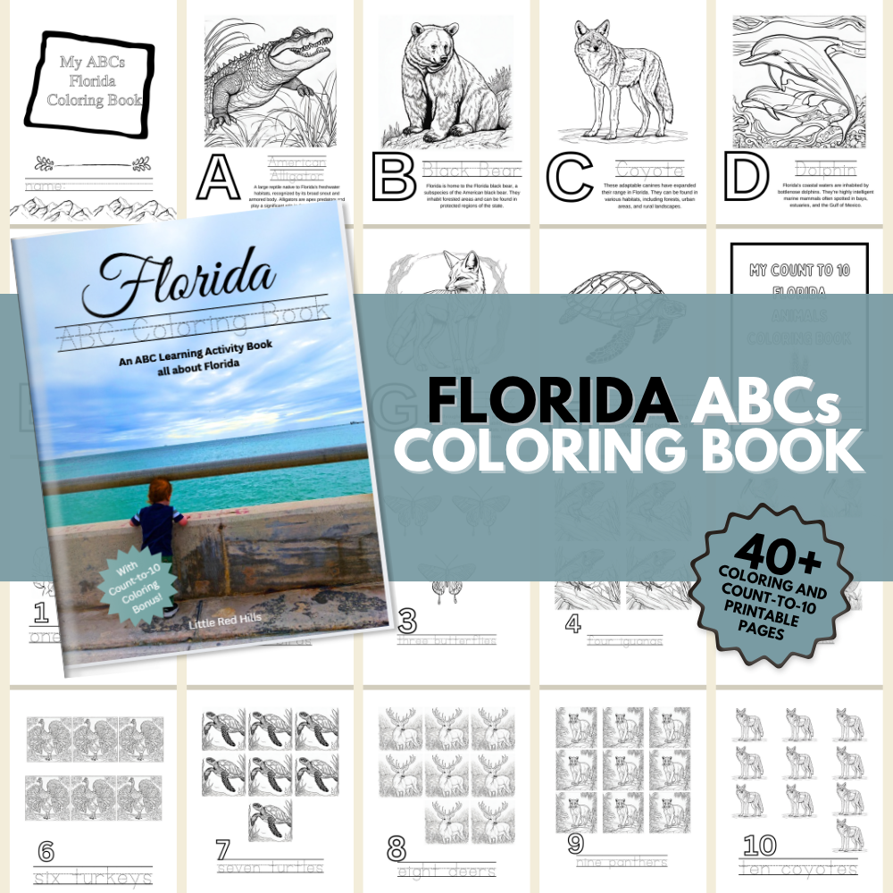 Florida ABCs Coloring Book