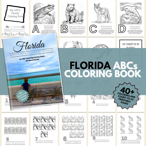 Florida ABCs Coloring Book