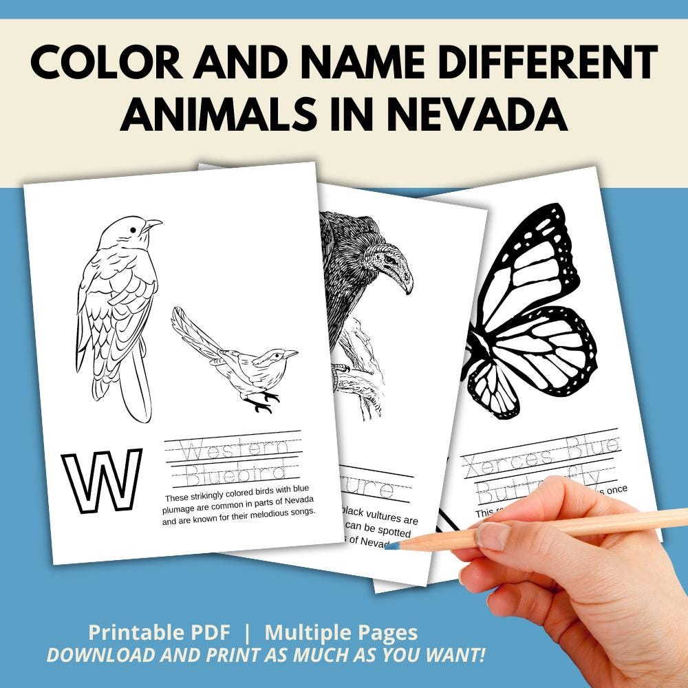 Nevada ABCs Coloring Book