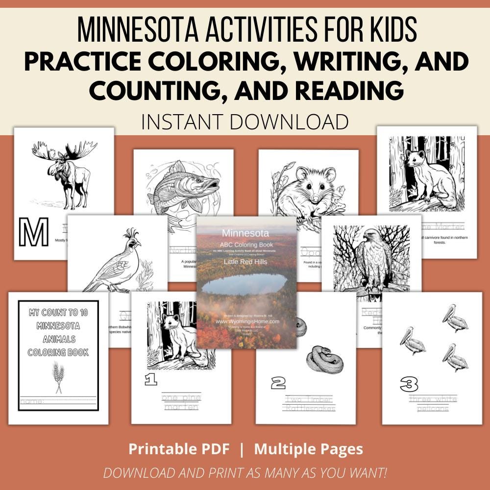 Minnesota ABCs Coloring Book