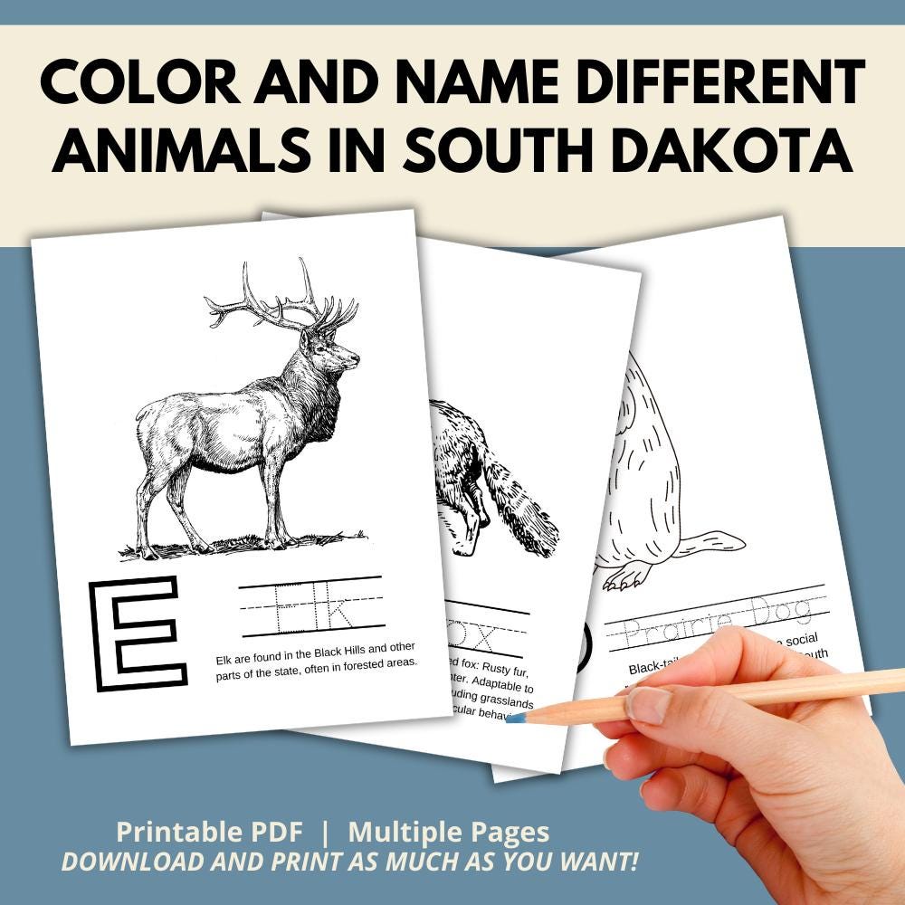 South Dakota ABCs Coloring Book