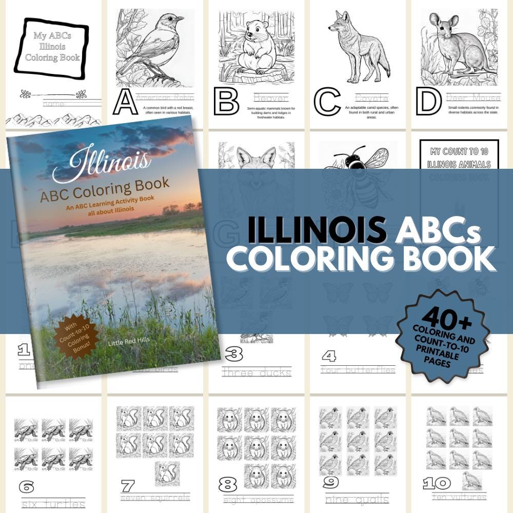Illinois ABCs Coloring Book
