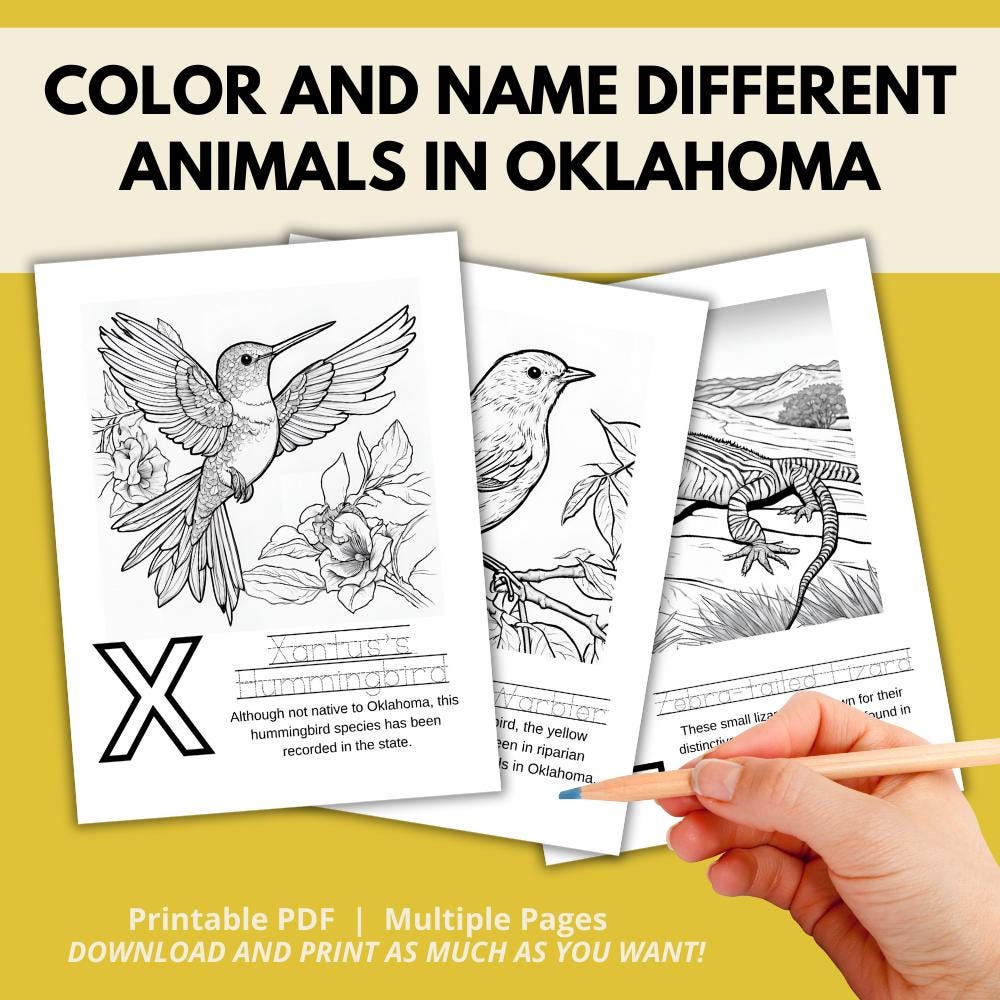 Oklahoma ABCs Coloring Book