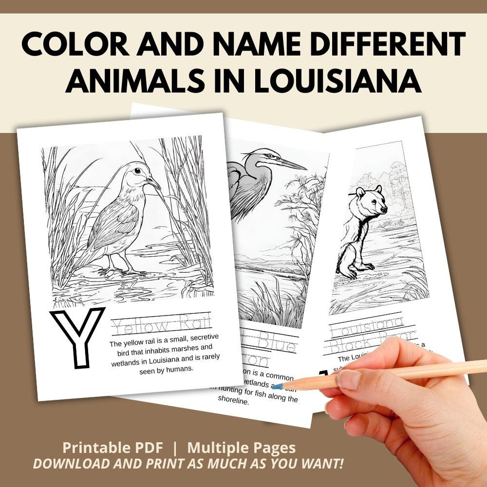 Louisiana ABCs Coloring Book
