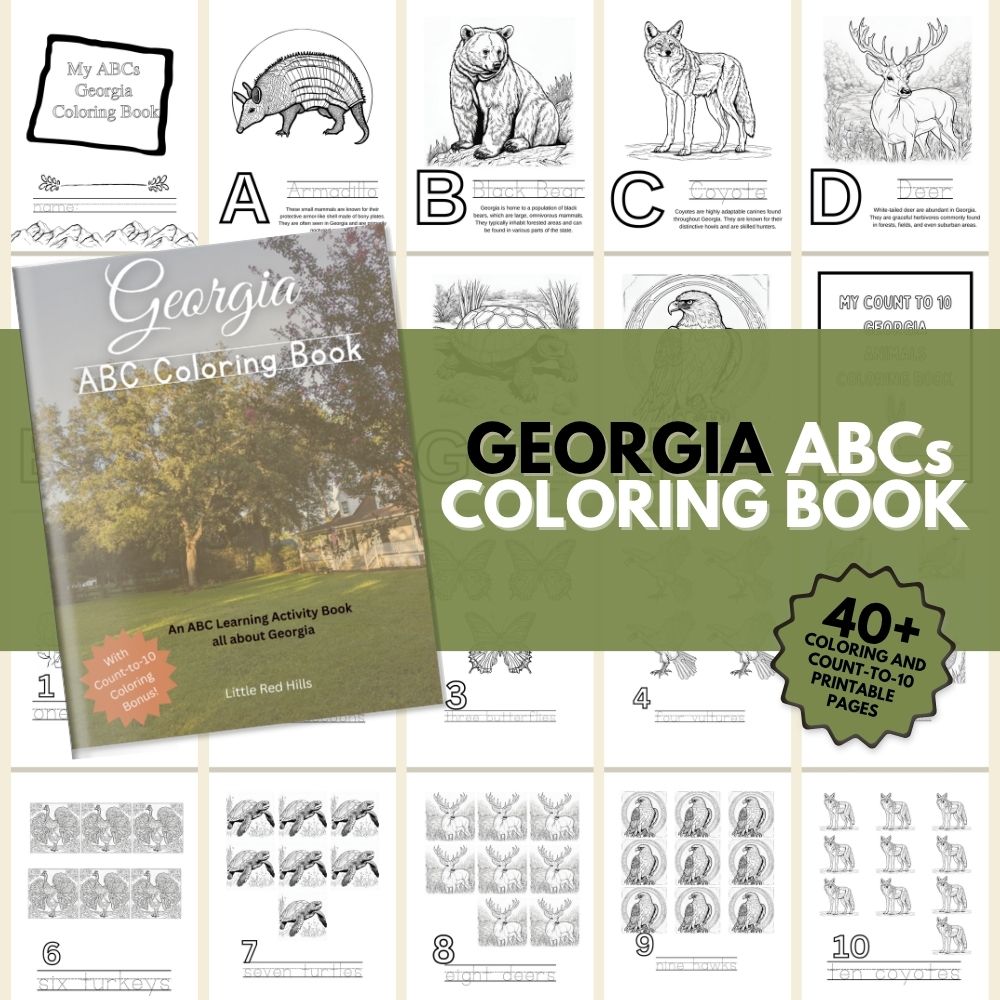 Georgia ABCs Coloring Book