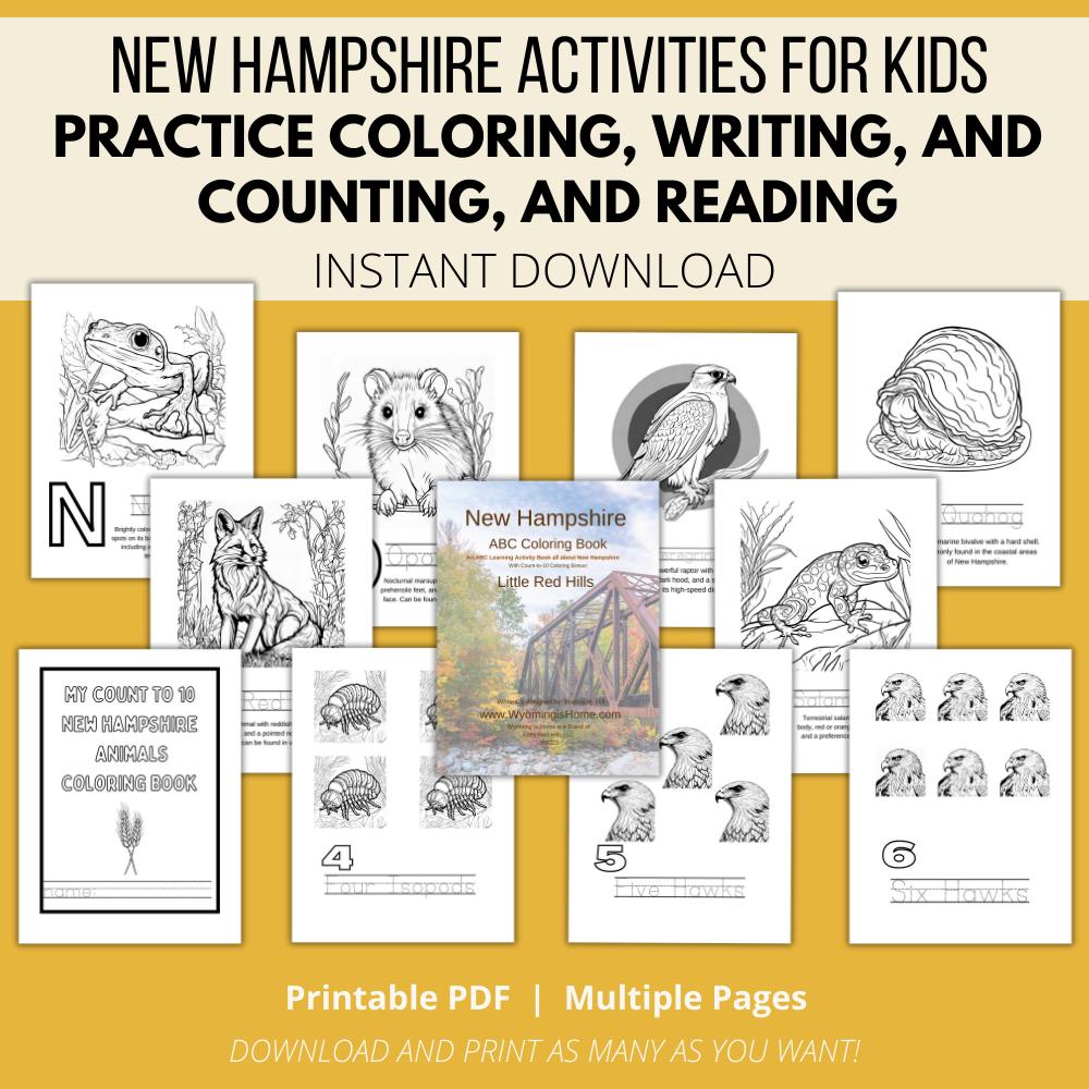 New Hampshire ABCs Coloring Book