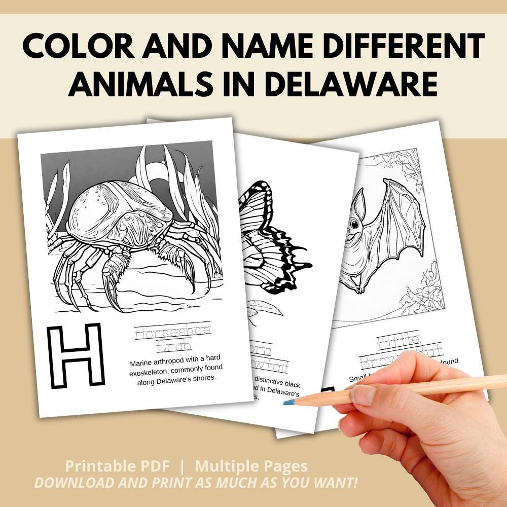 Delaware ABCs Coloring Book