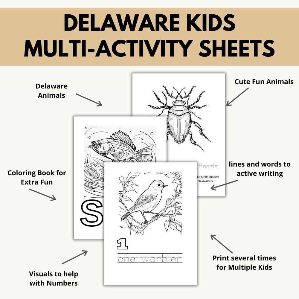 Delaware ABCs Coloring Book