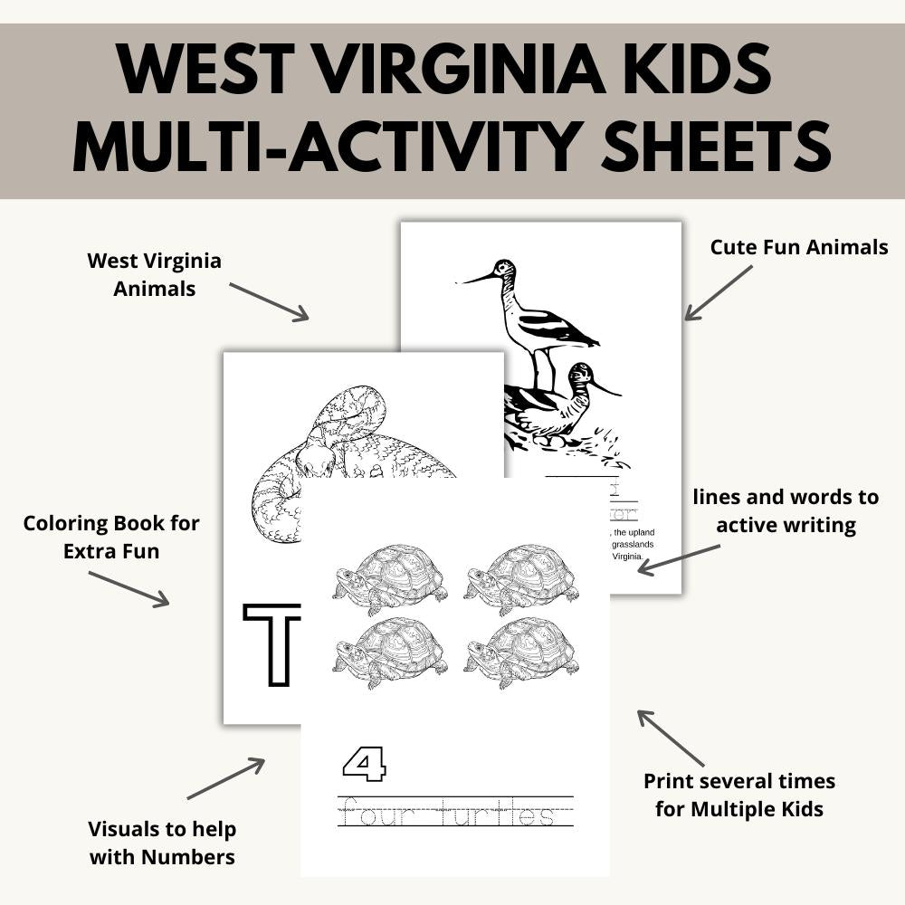 My West Virginia ABCs Coloring Book