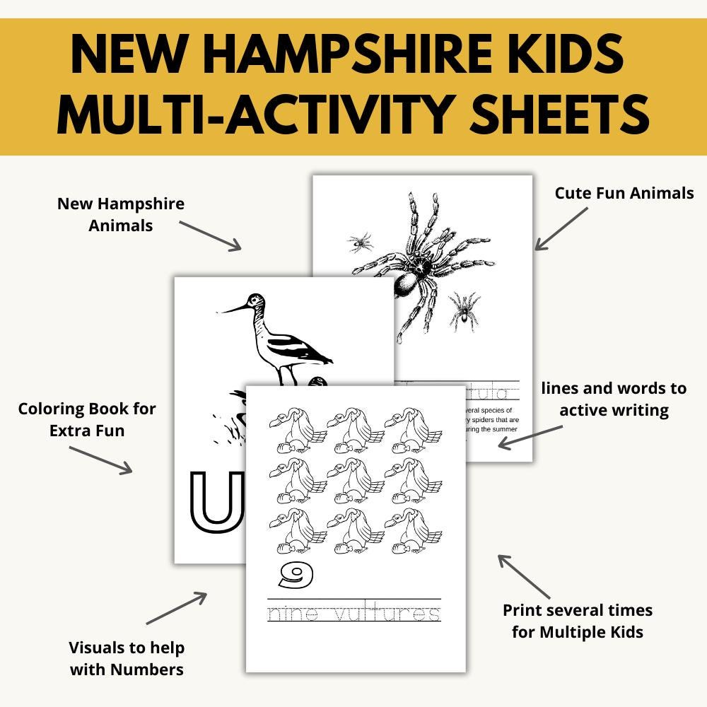 New Hampshire ABCs Coloring Book