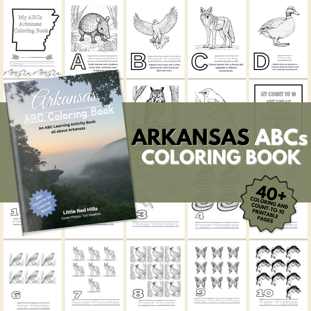 Arkansas ABCs Coloring Book