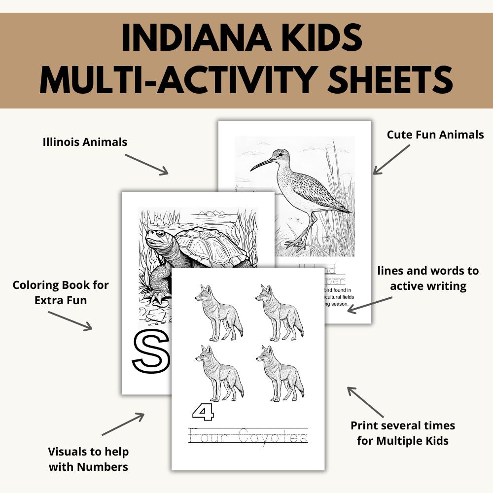Indiana ABCs Coloring Book