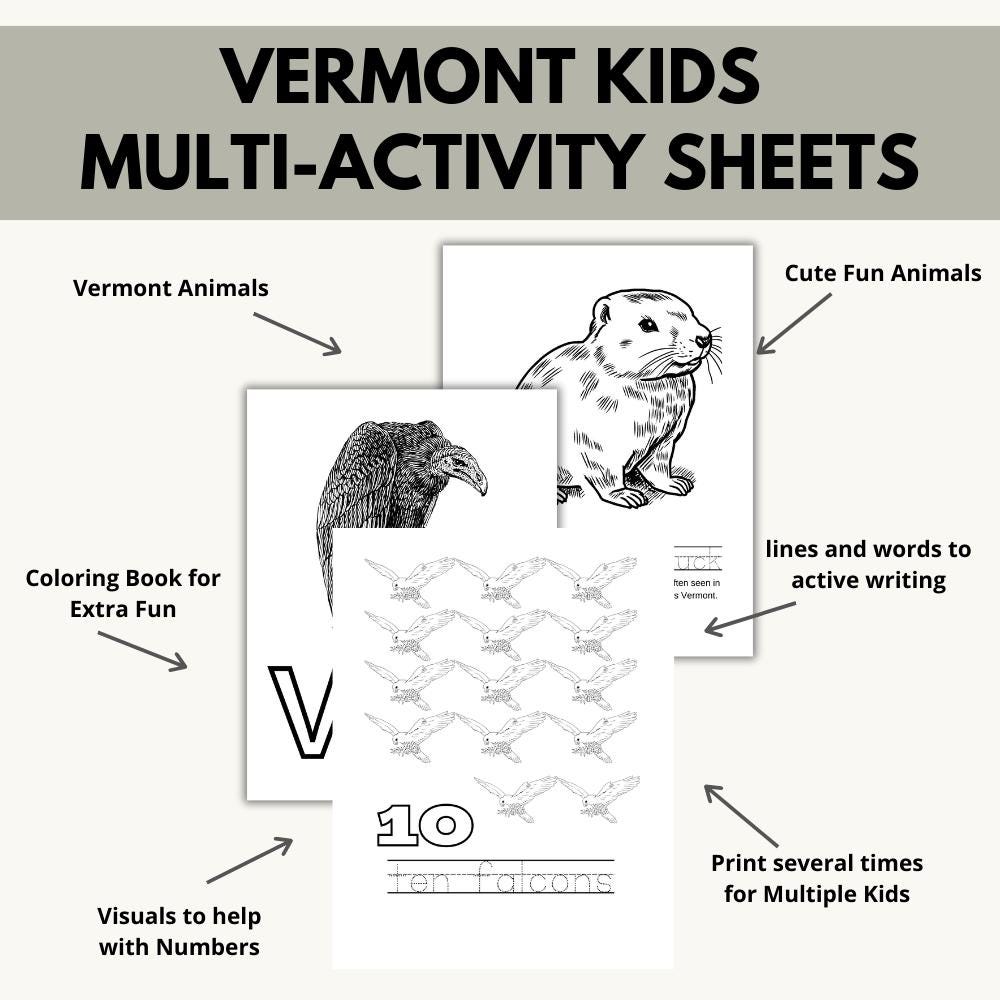 Vermont ABCs Coloring Book