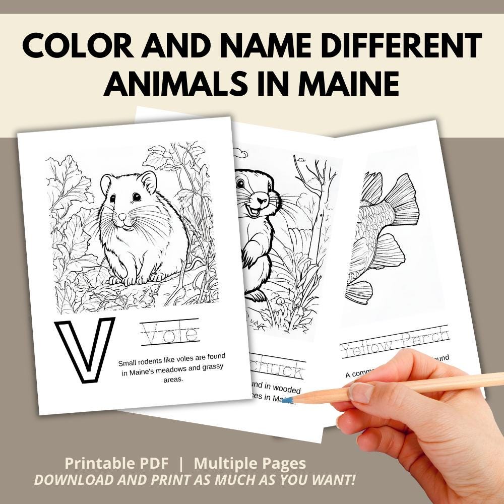 Maine ABCs Coloring Book