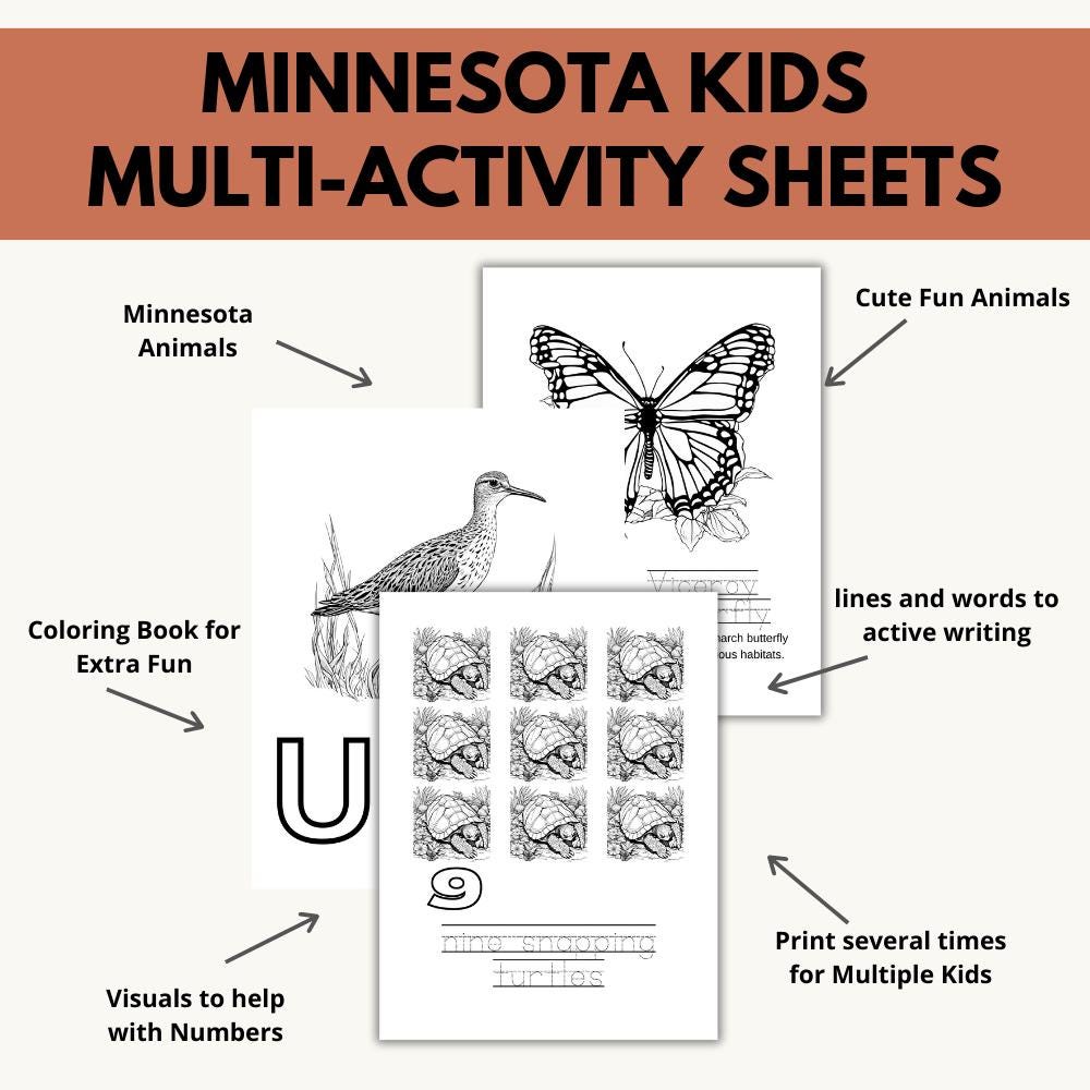 Minnesota ABCs Coloring Book
