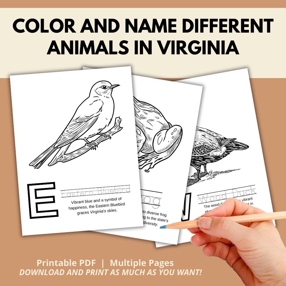Virginia ABCs Coloring Book