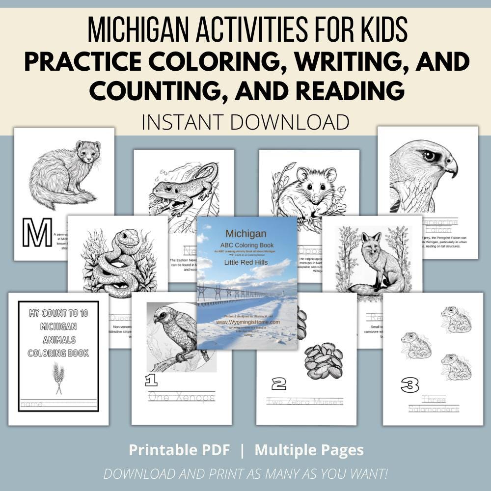 Michigan ABCs Coloring Book