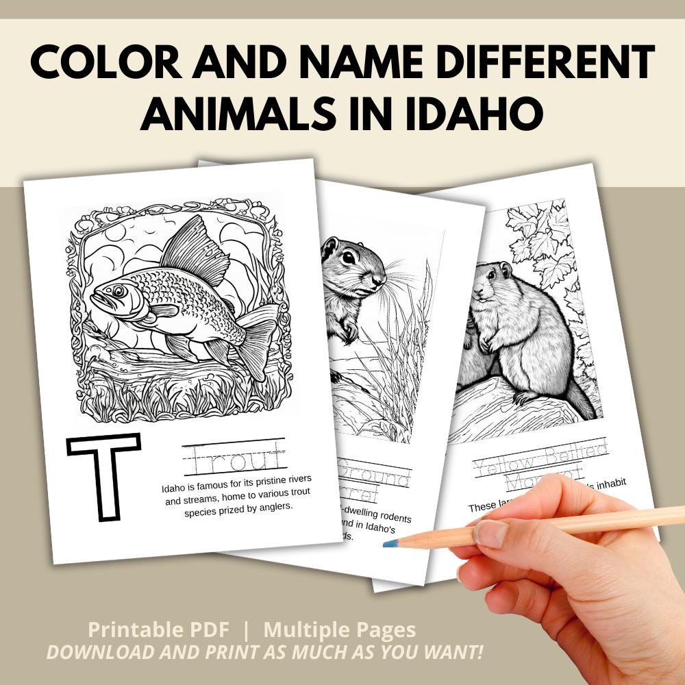 Idaho ABCs Coloring Book