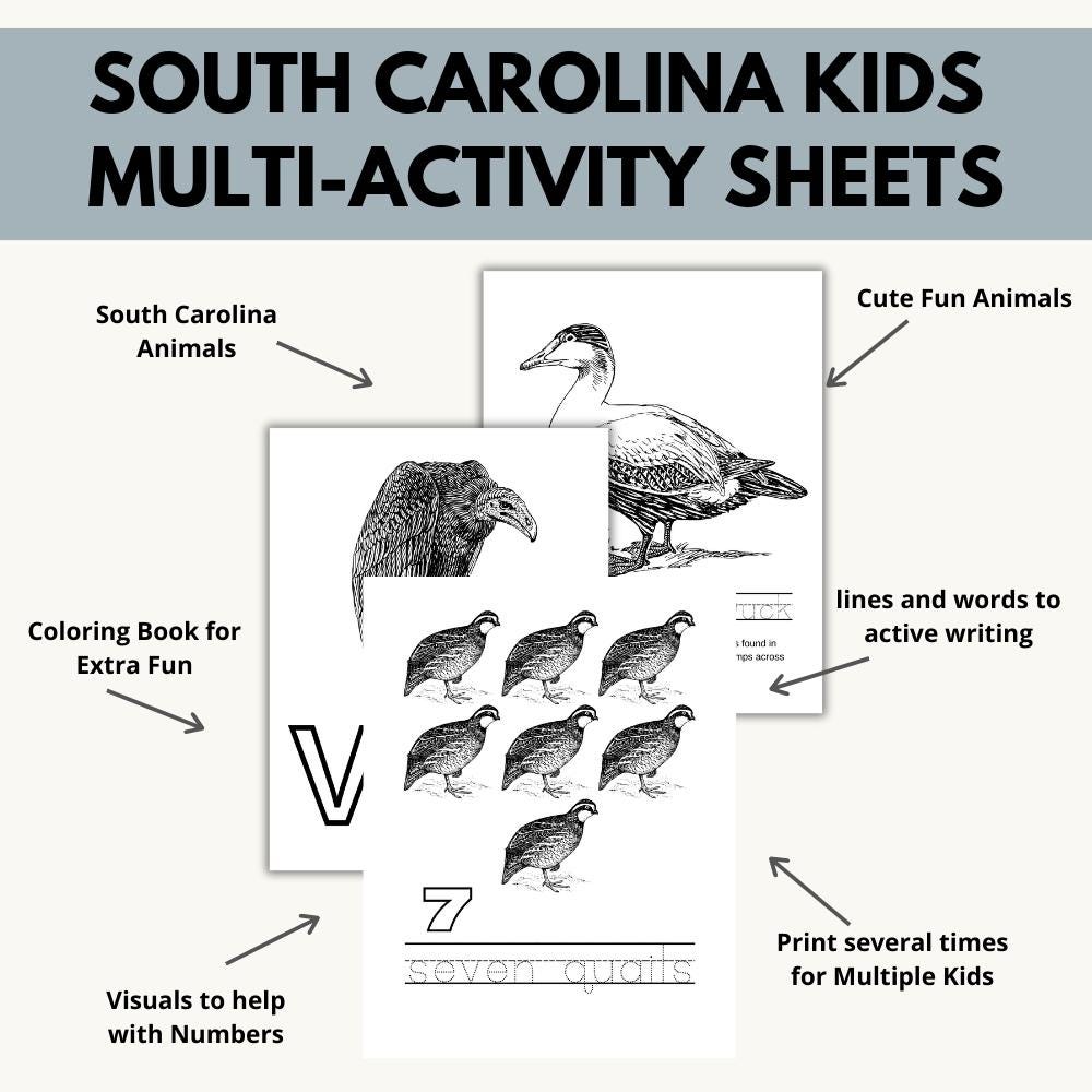 South Carolina ABCs Coloring Book