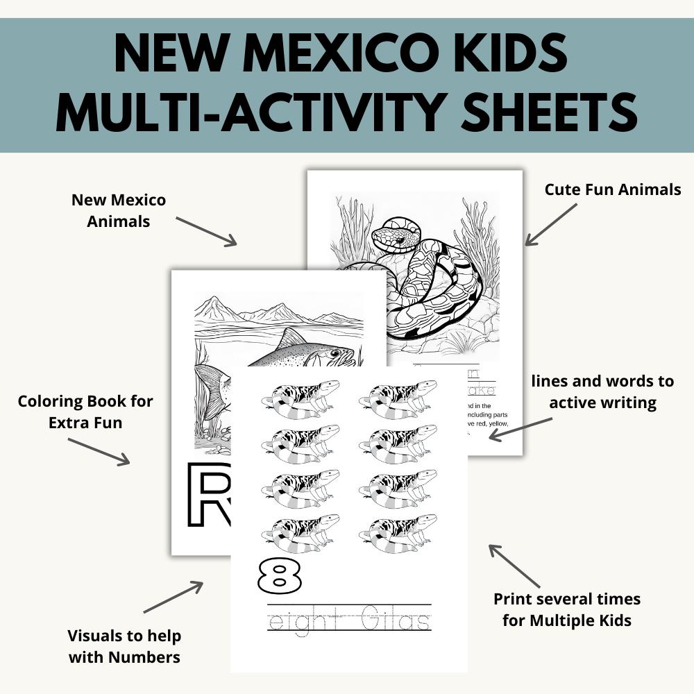 New Mexico ABCs Coloring Book