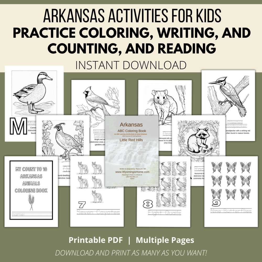 Arkansas ABCs Coloring Book
