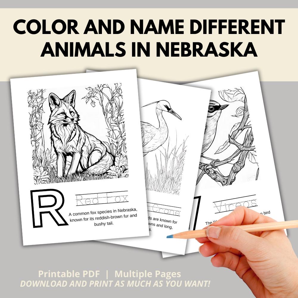 Nebraska ABCs Coloring Book