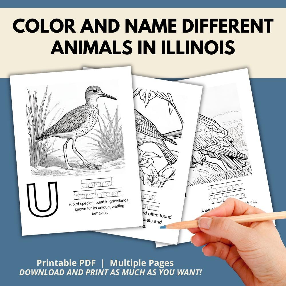 Illinois ABCs Coloring Book