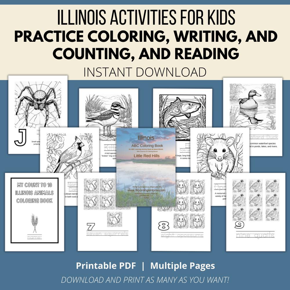 Illinois ABCs Coloring Book