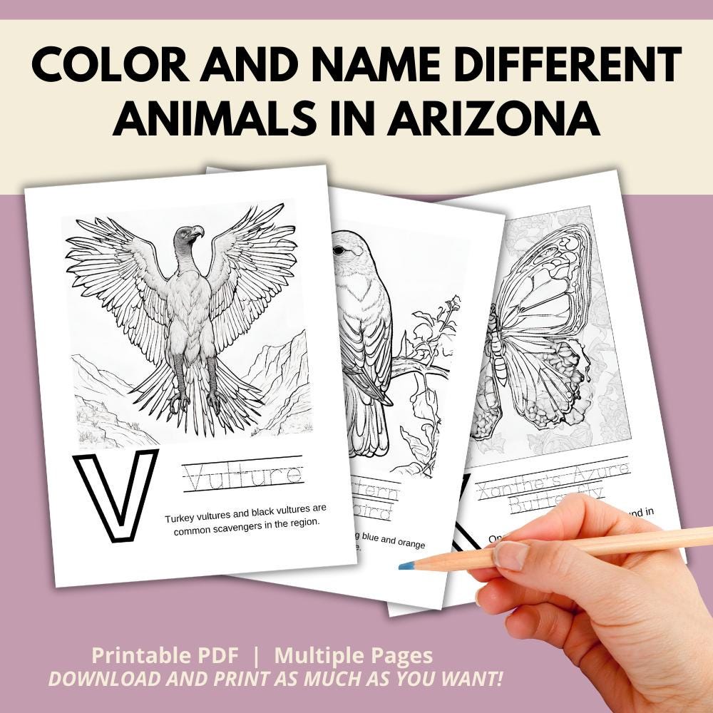 Arizona ABCs Coloring Book