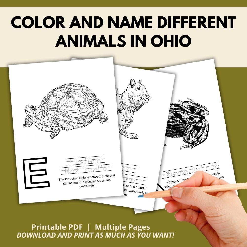 Ohio ABC Coloring Book