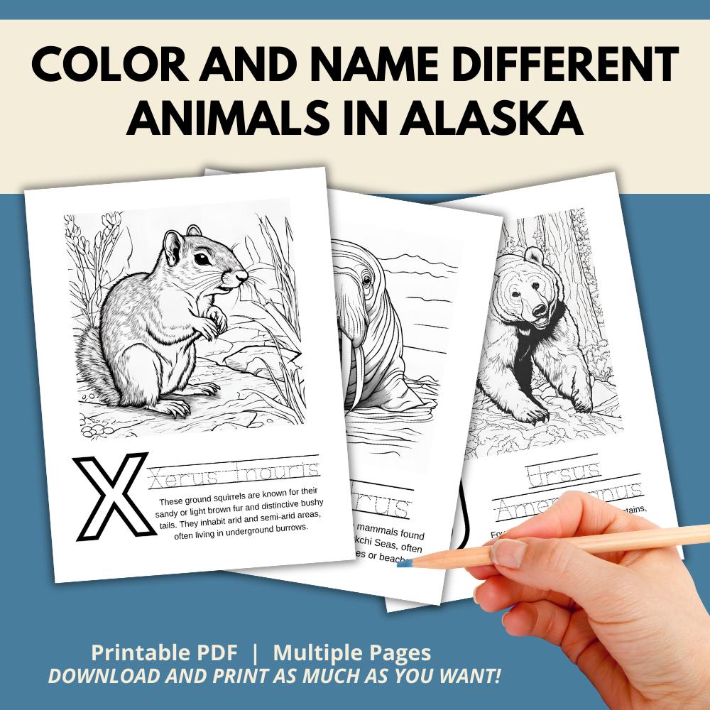 Alaska ABCs Coloring Book