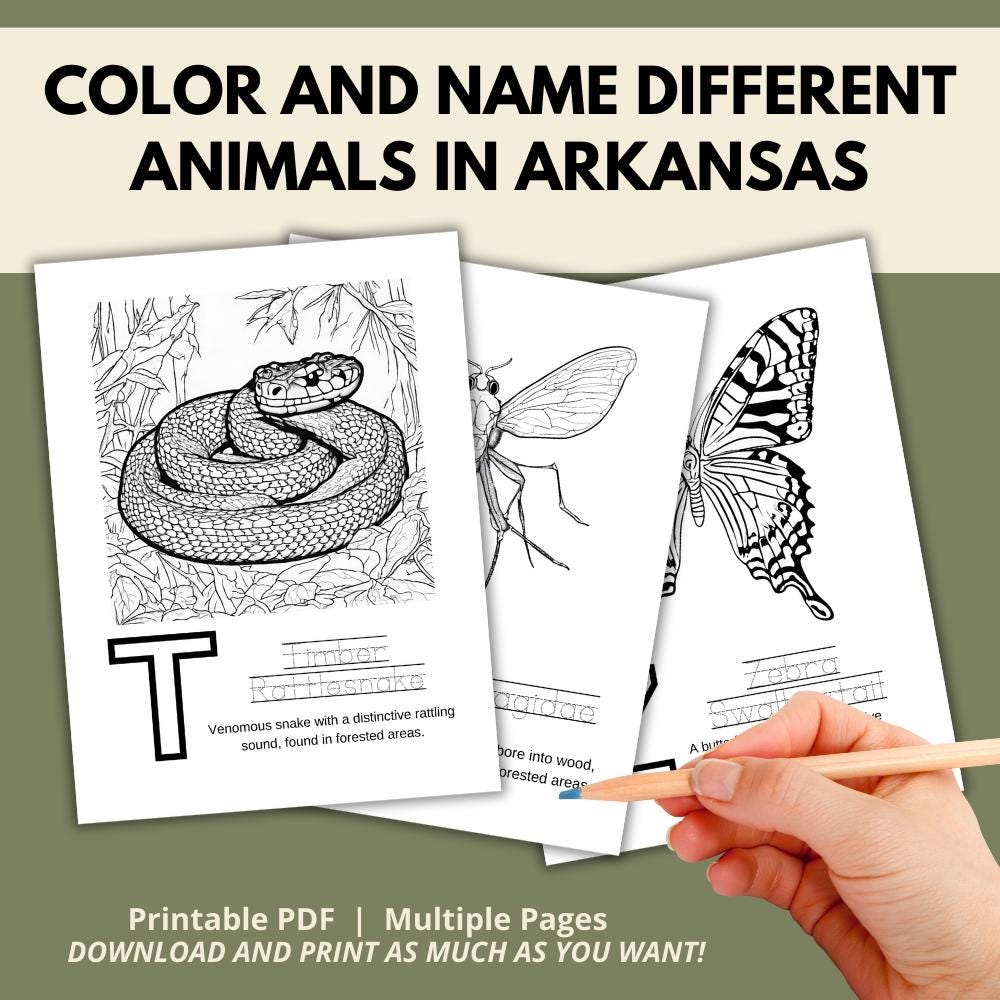 Arkansas ABCs Coloring Book