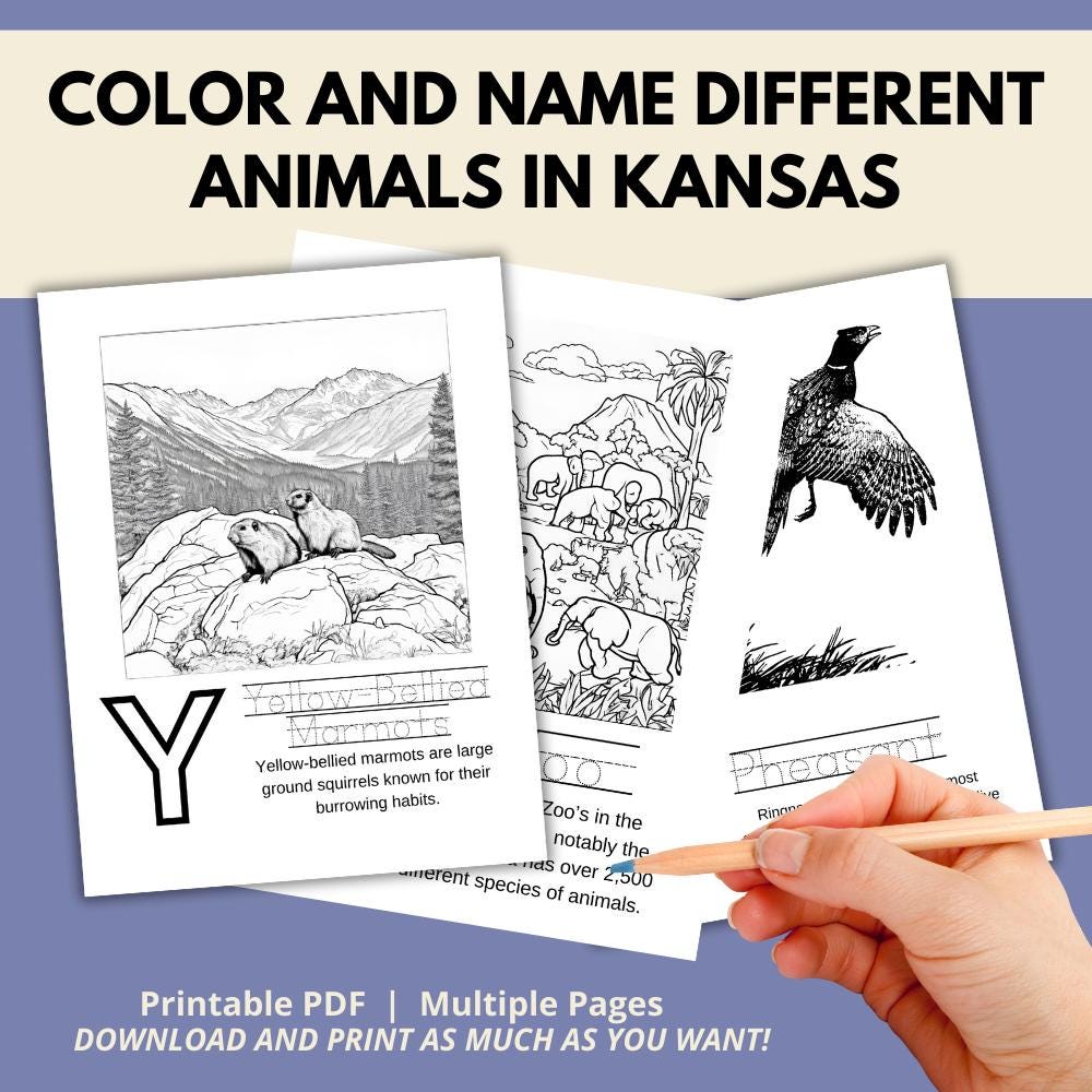 Kansas ABCs Coloring Book
