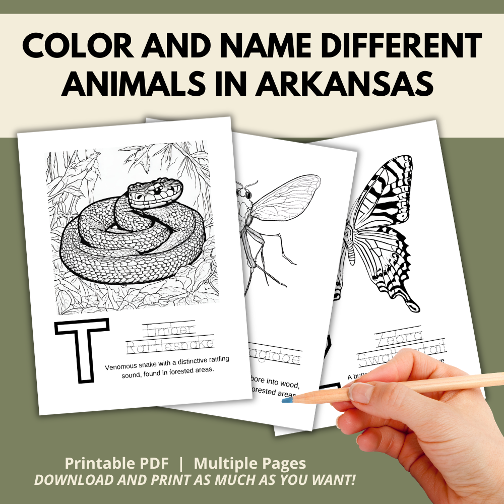 Arkansas ABCs Coloring Book