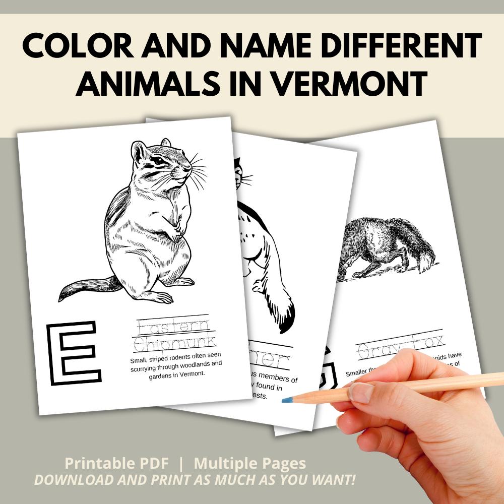 Vermont ABCs Coloring Book
