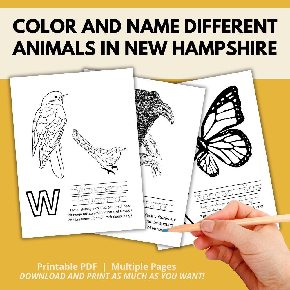New Hampshire ABCs Coloring Book