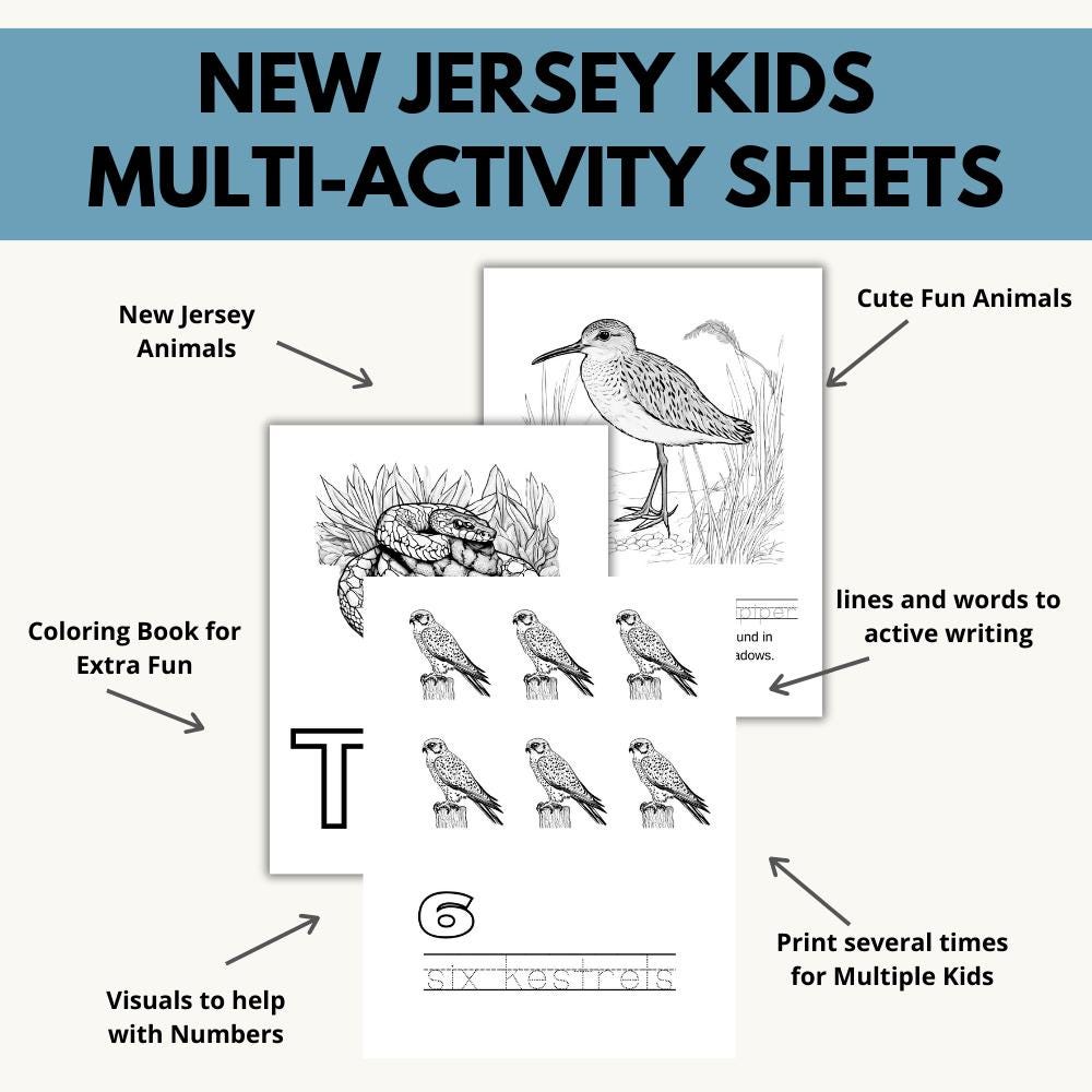 New Jersey ABCs Coloring Book