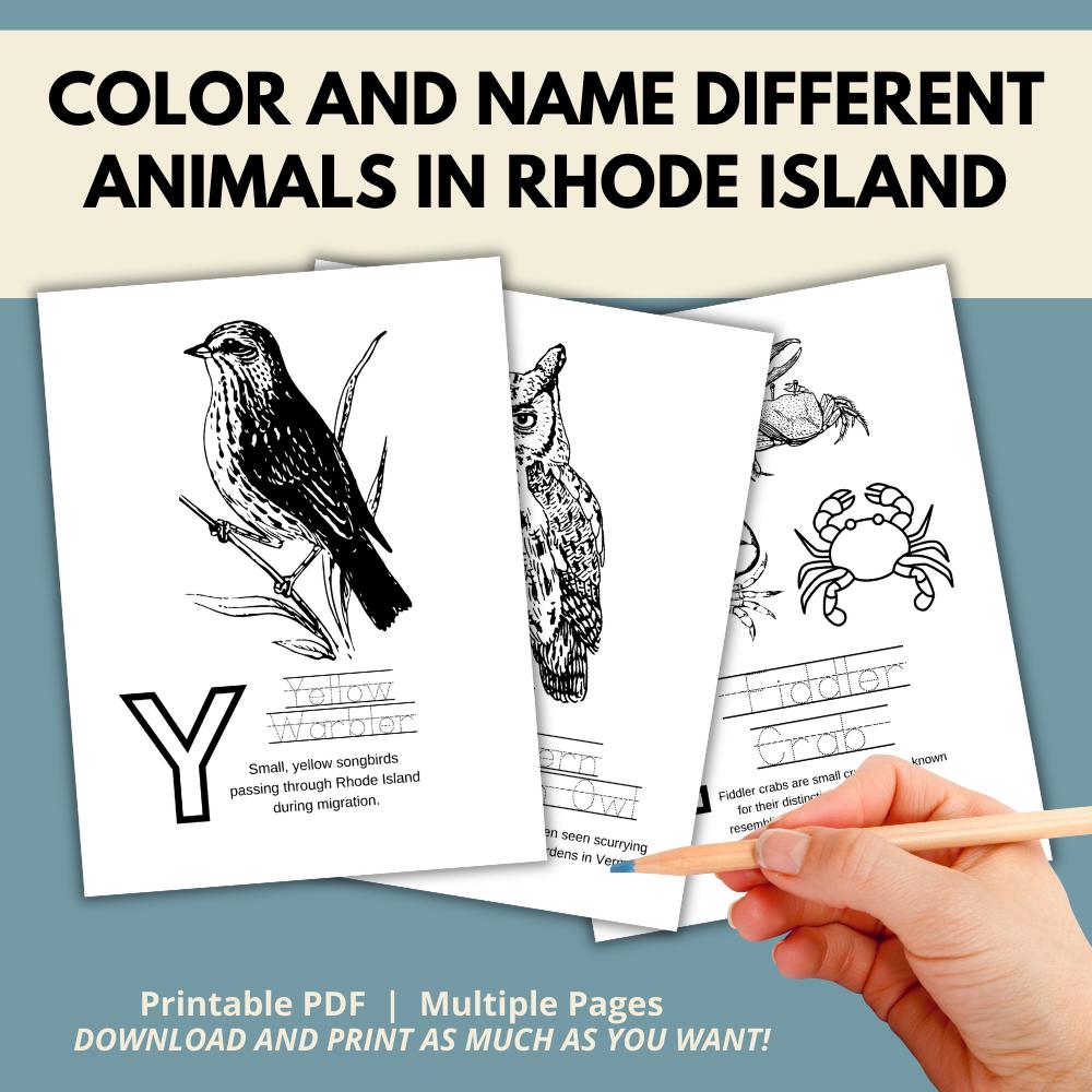 Rhode Island ABCs Coloring Book
