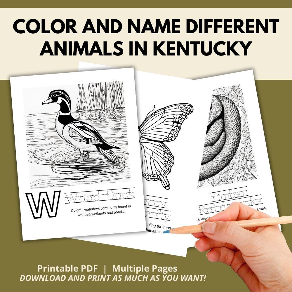 My Kentucky ABCs Coloring Book