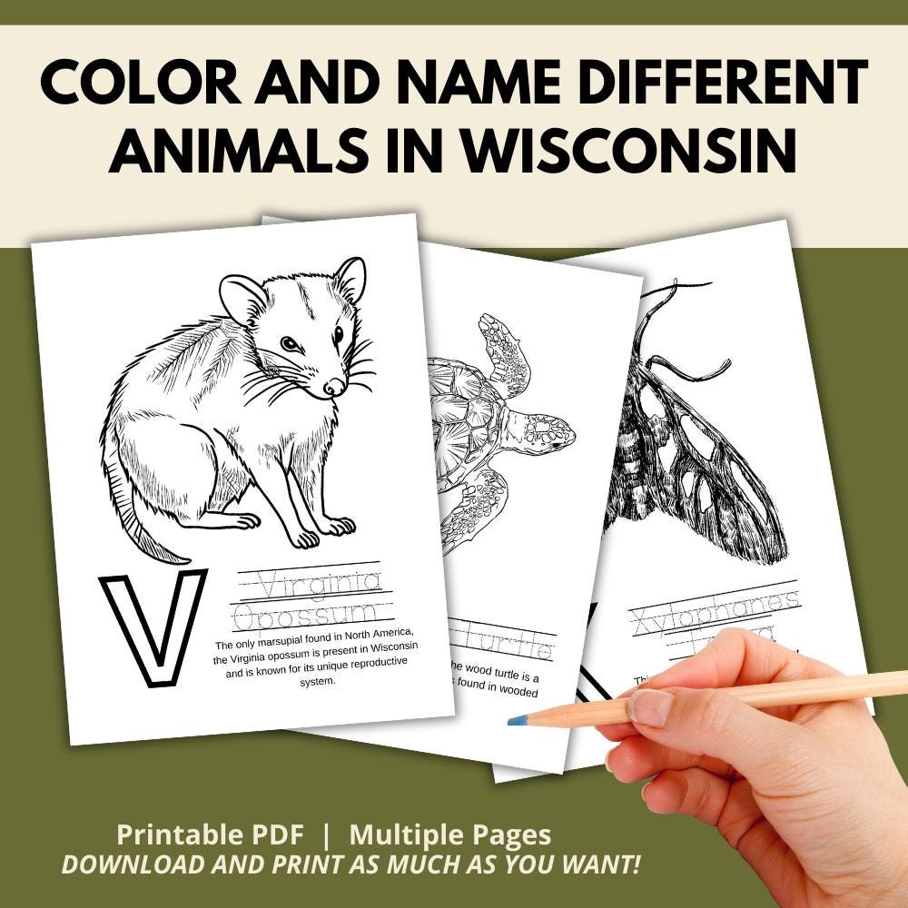 Wisconsin ABC Coloring Book