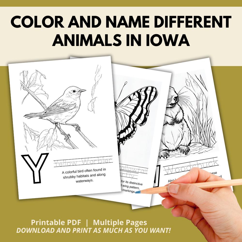 Iowa ABCs Coloring Book
