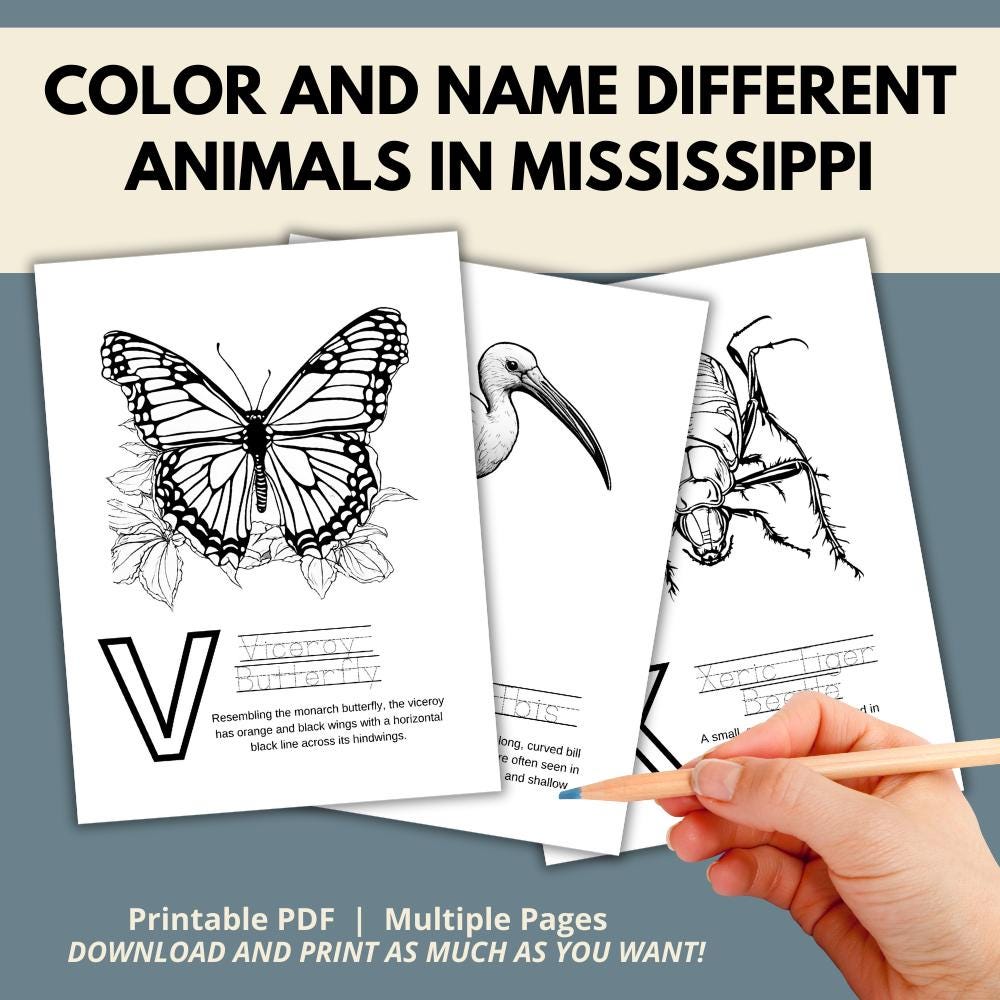 Mississippi ABCs Coloring Book