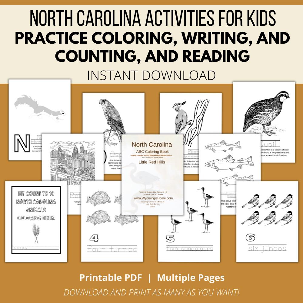 North Carolina ABCs Coloring Book