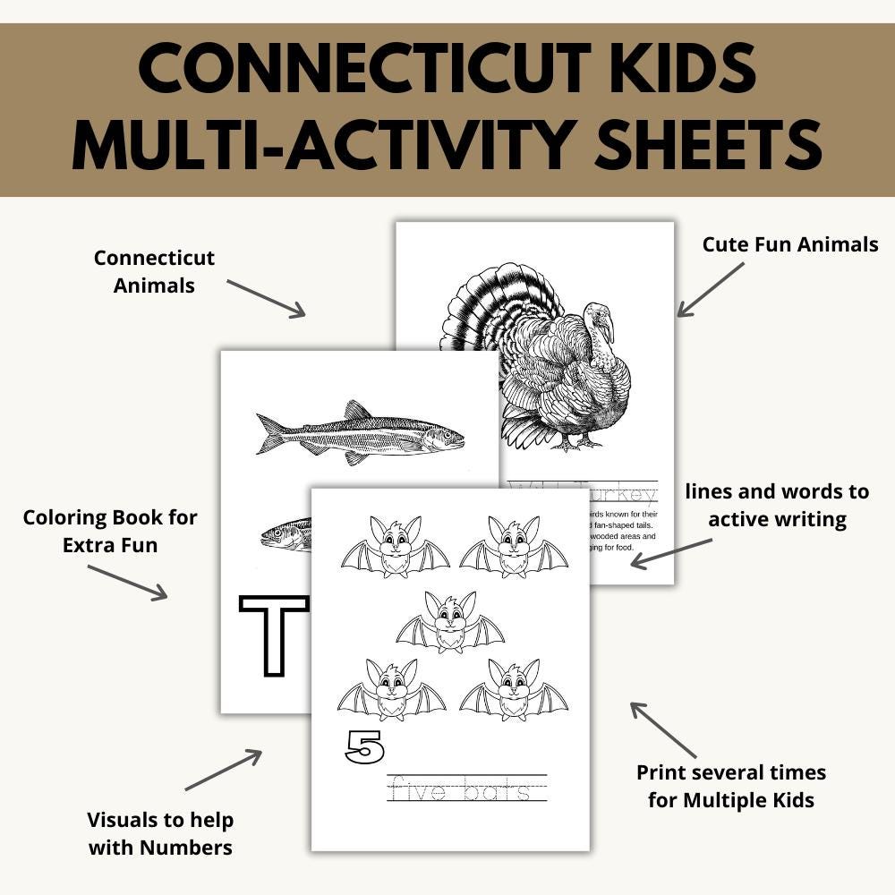 Connecticut ABC Coloring Book