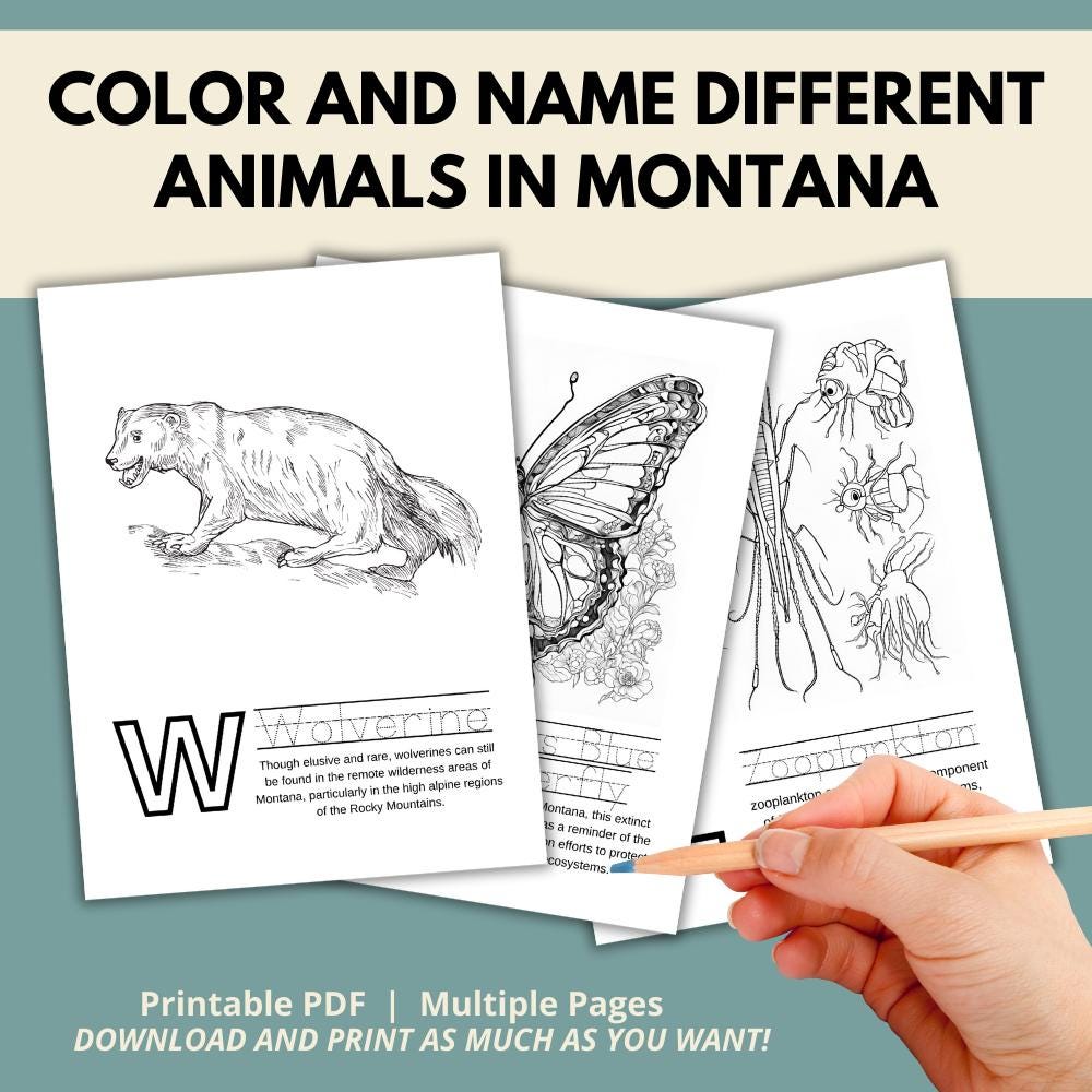 Montana ABC Coloring Book