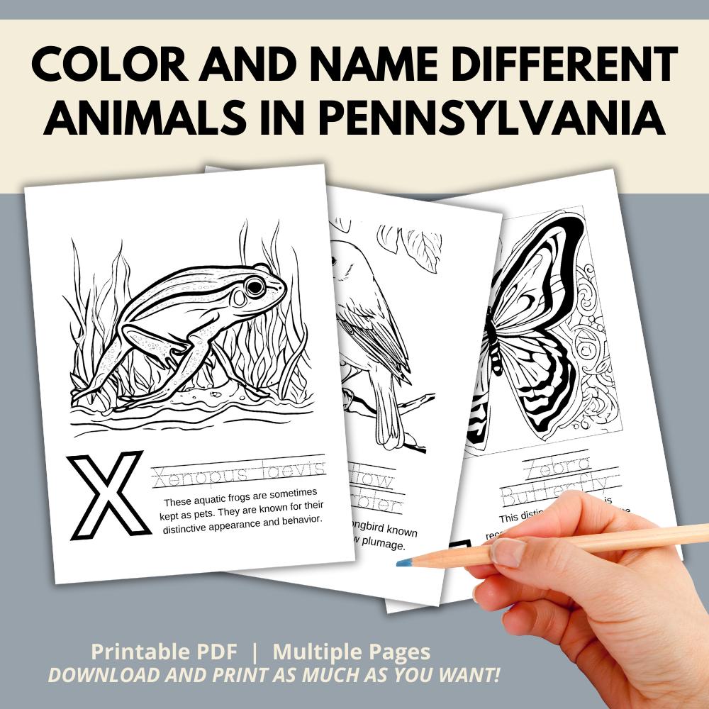 Pennsylvania ABCs Coloring Book