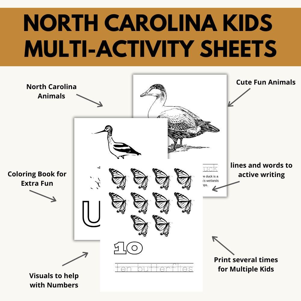 North Carolina ABCs Coloring Book