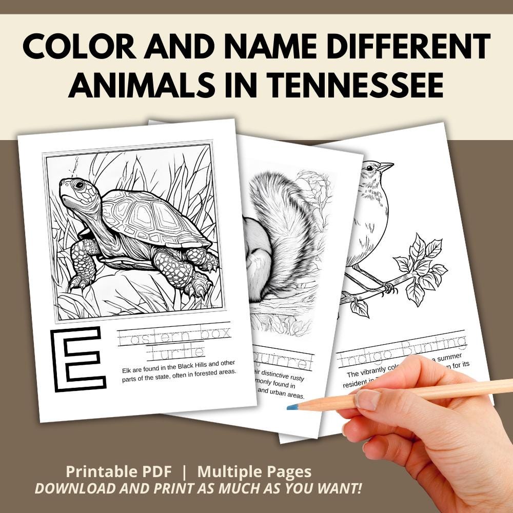 Tennessee ABC Coloring Book